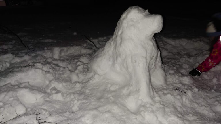 Miksi lähdemme afrikkaan?