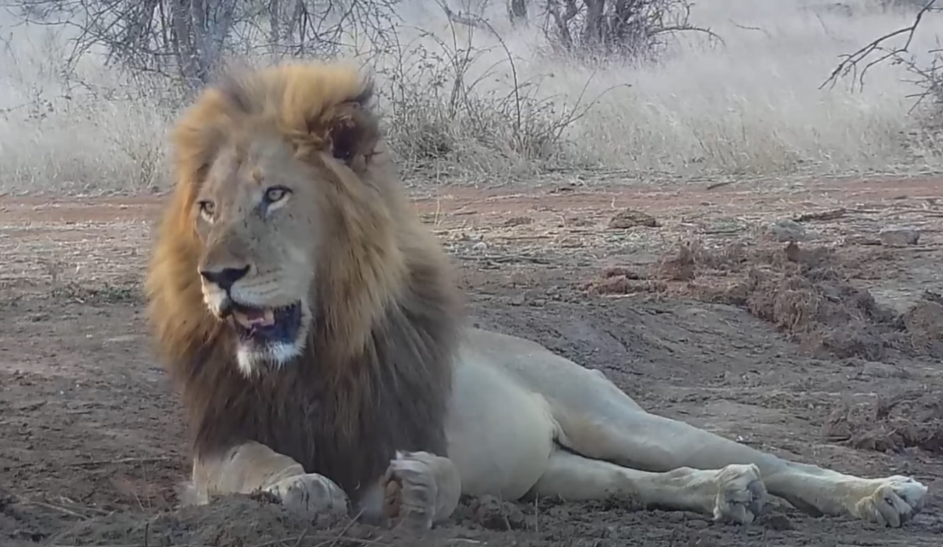 Webbikameroita Afrikassa