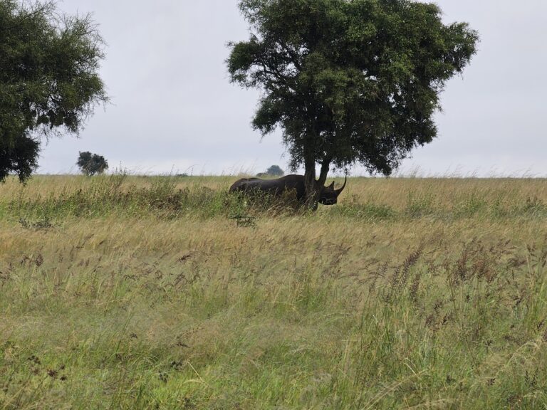 Eka päivä Keniassa