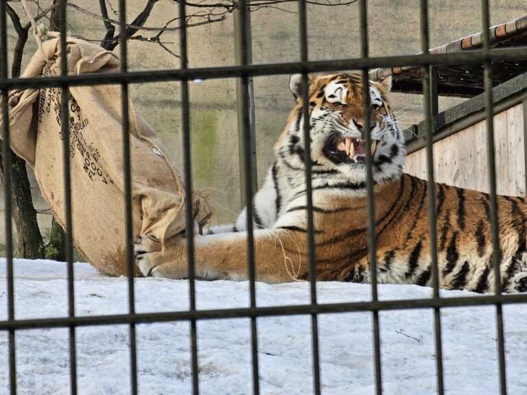 Vertailukohtia hakemassa