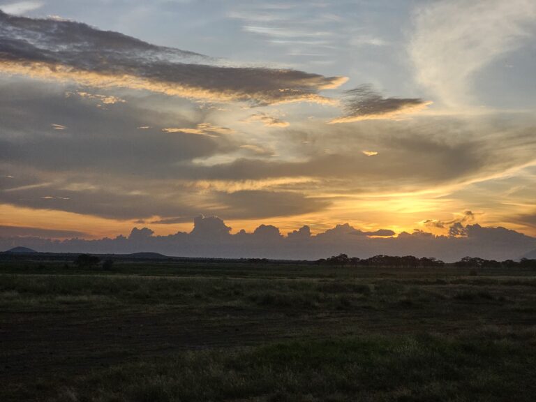Matkan viimeinen kokonainen safari-päivä Amboselissa