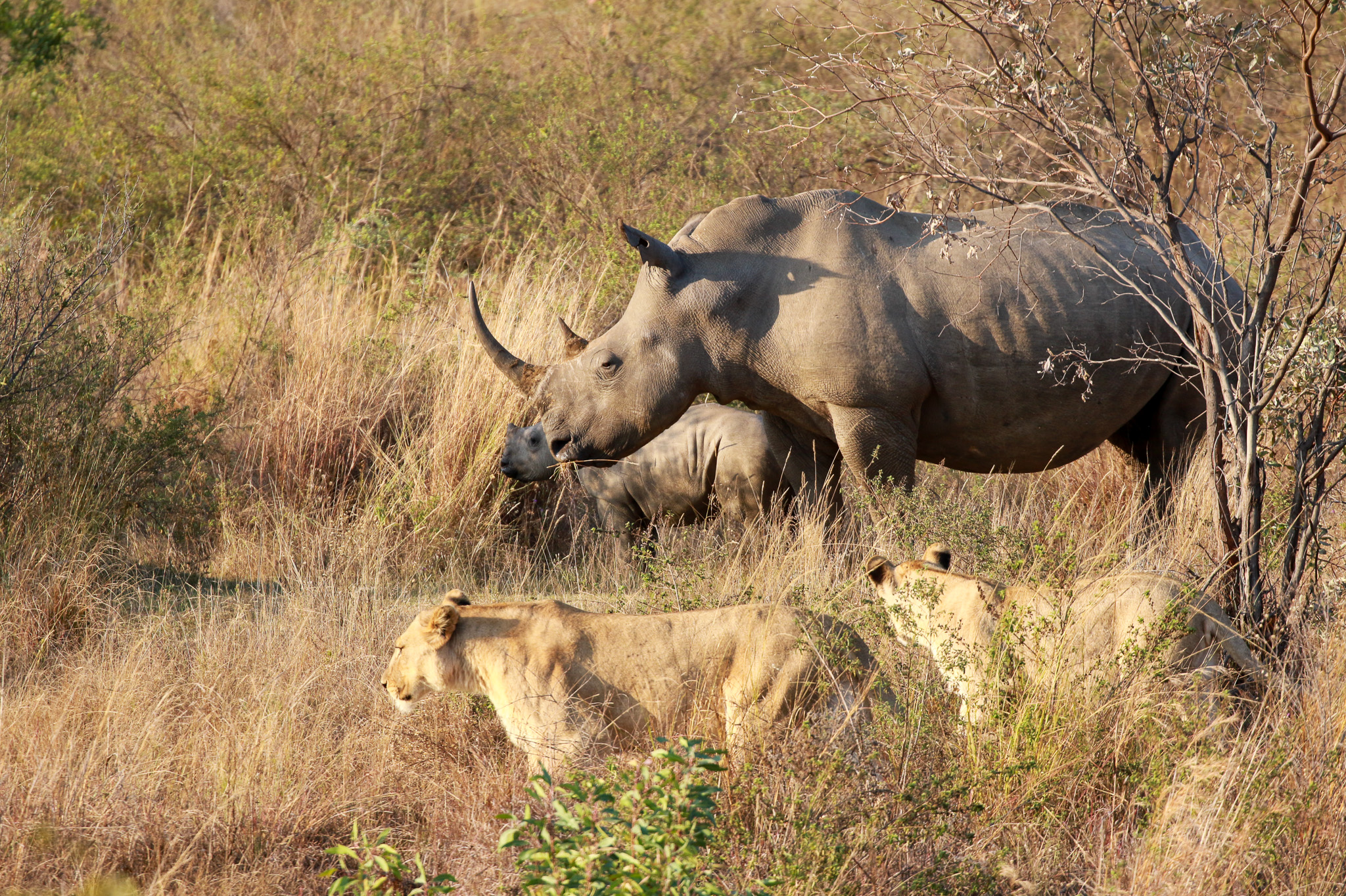 Welgevonden suojelualue