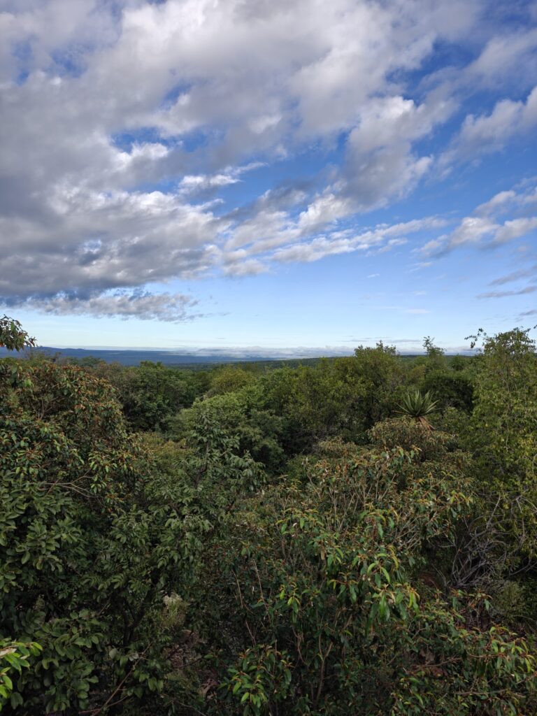 Päivä 9: Kotia kohti