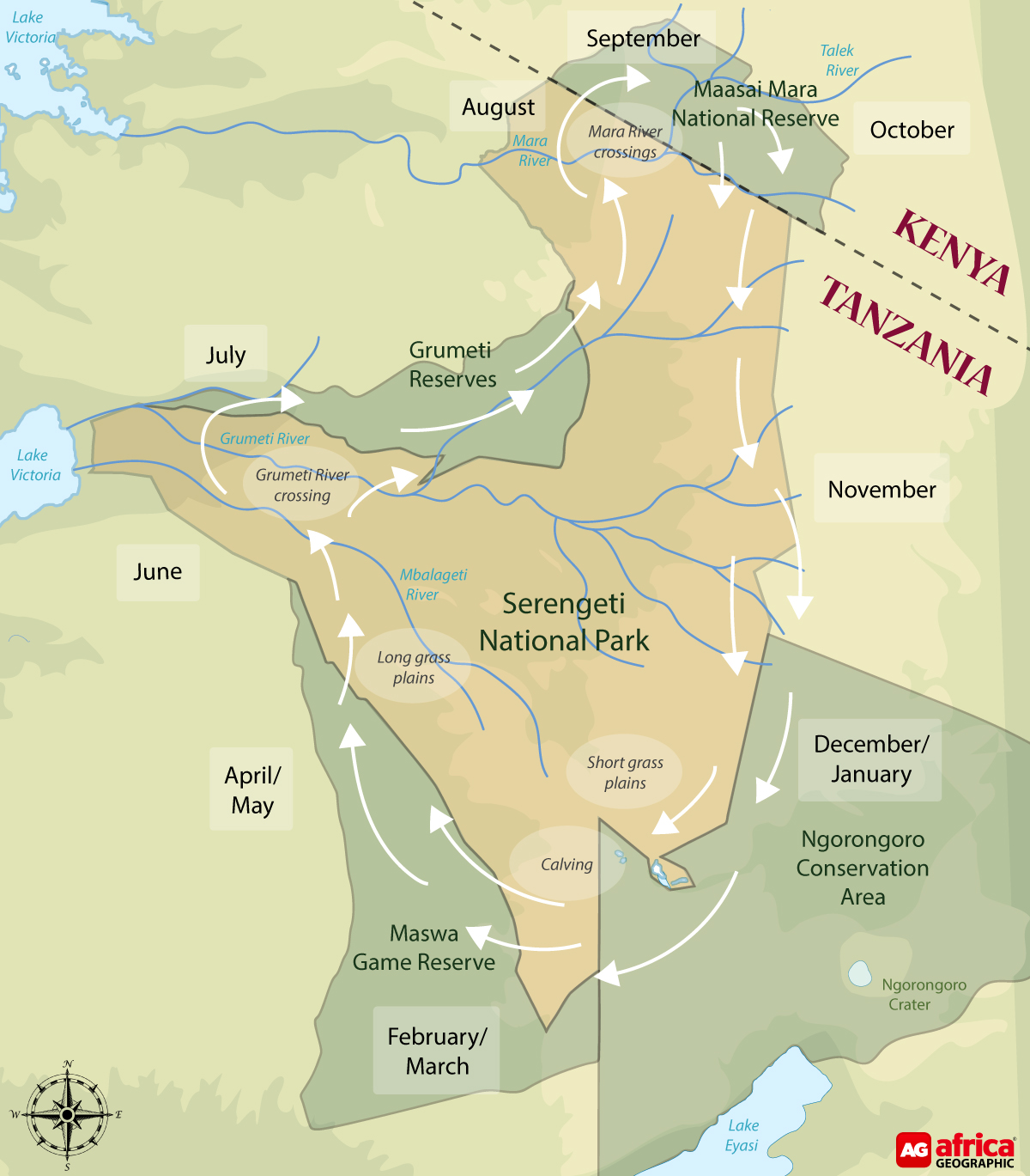 Antilooppien suuri vaellus