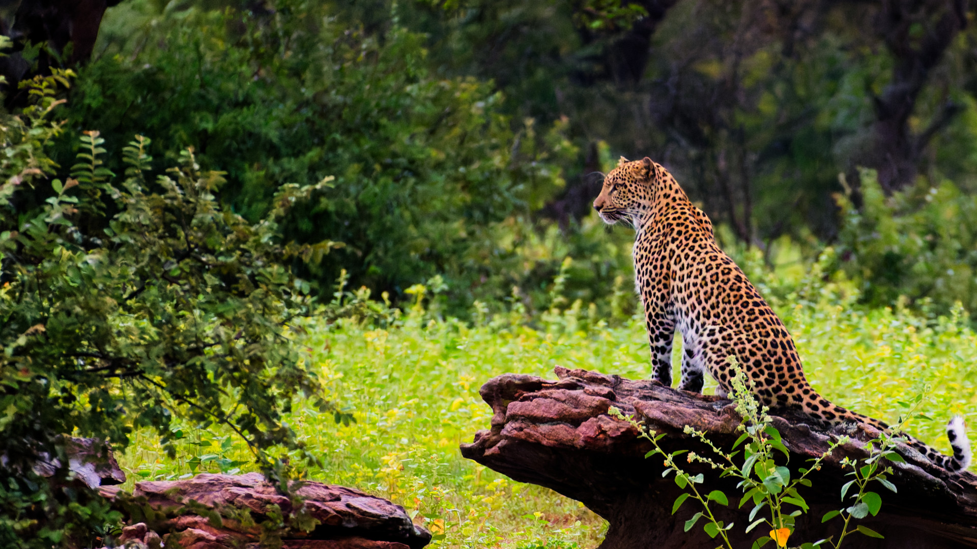 2025-02 Etelä-Afrikka