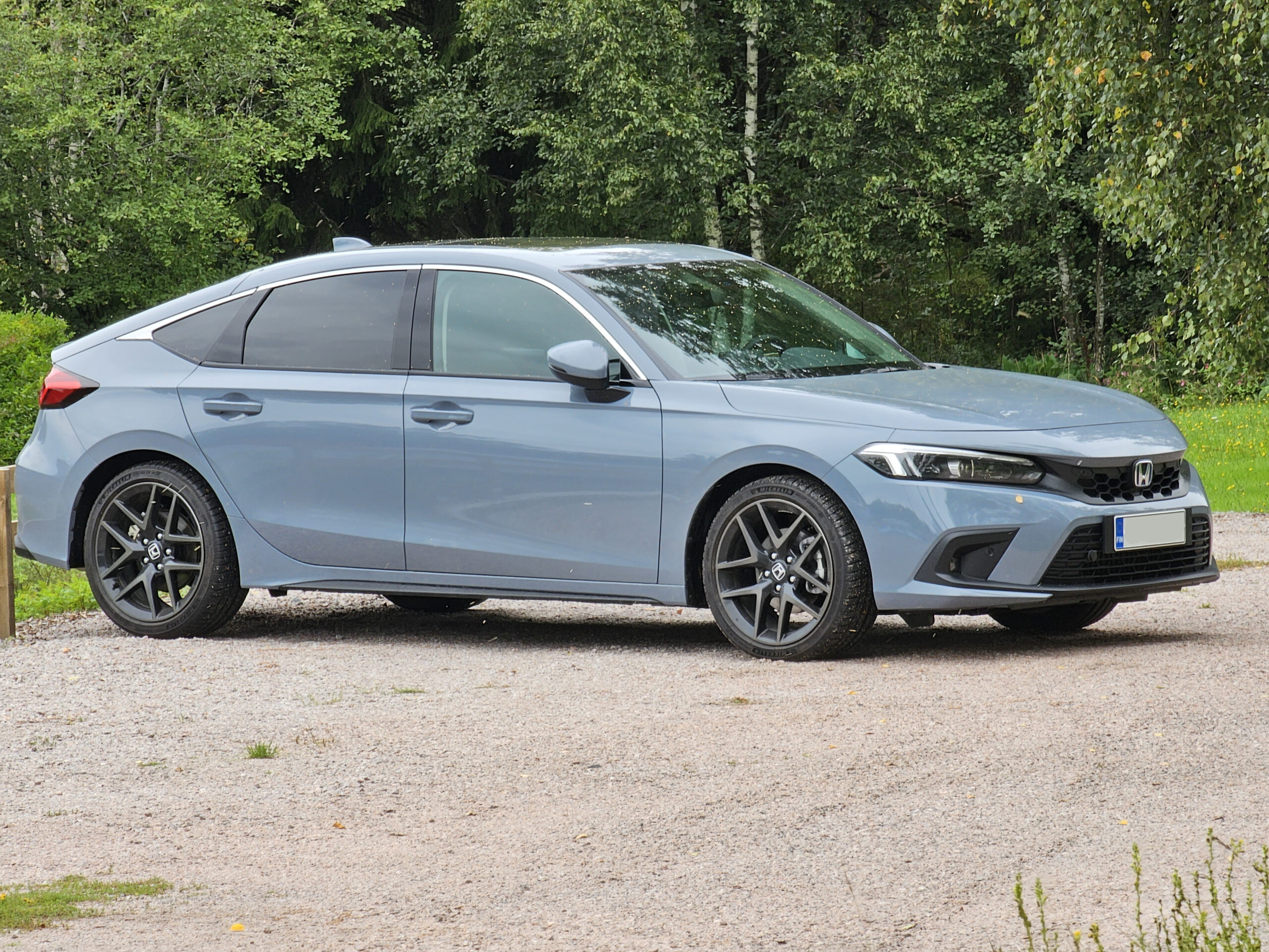 Uutta softaa ja lajitoveri nähty