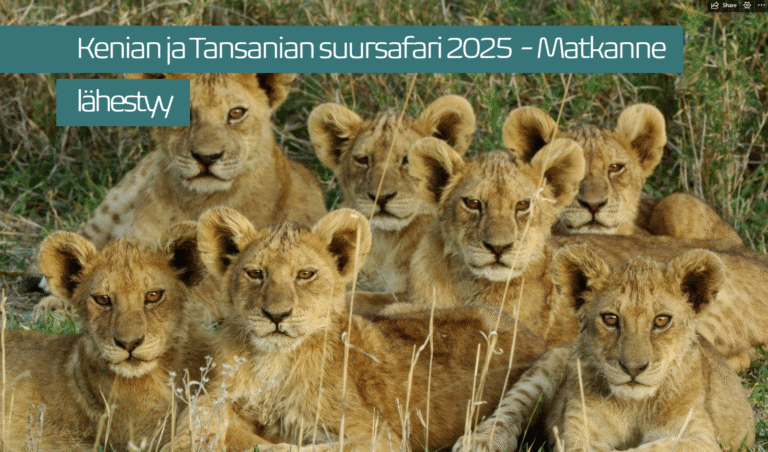 Infoa matkatoimistolta