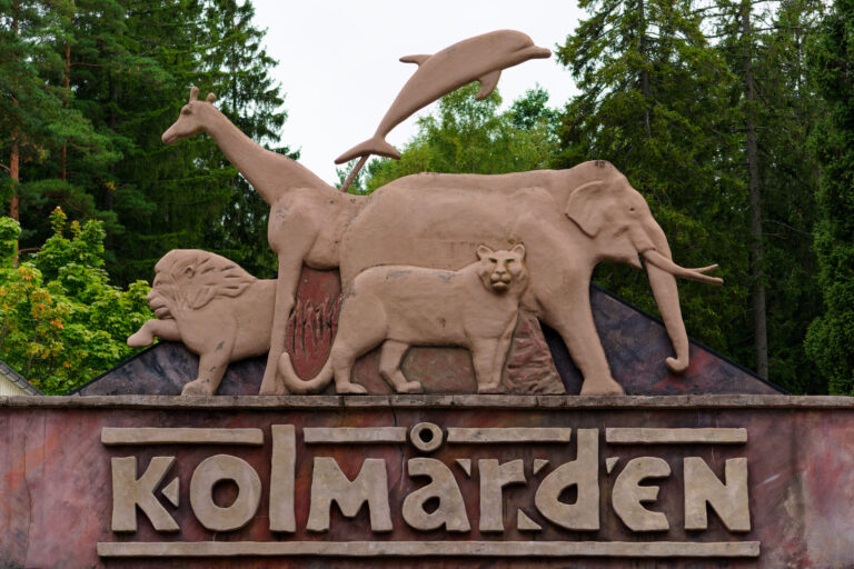 Kålmorden 2025